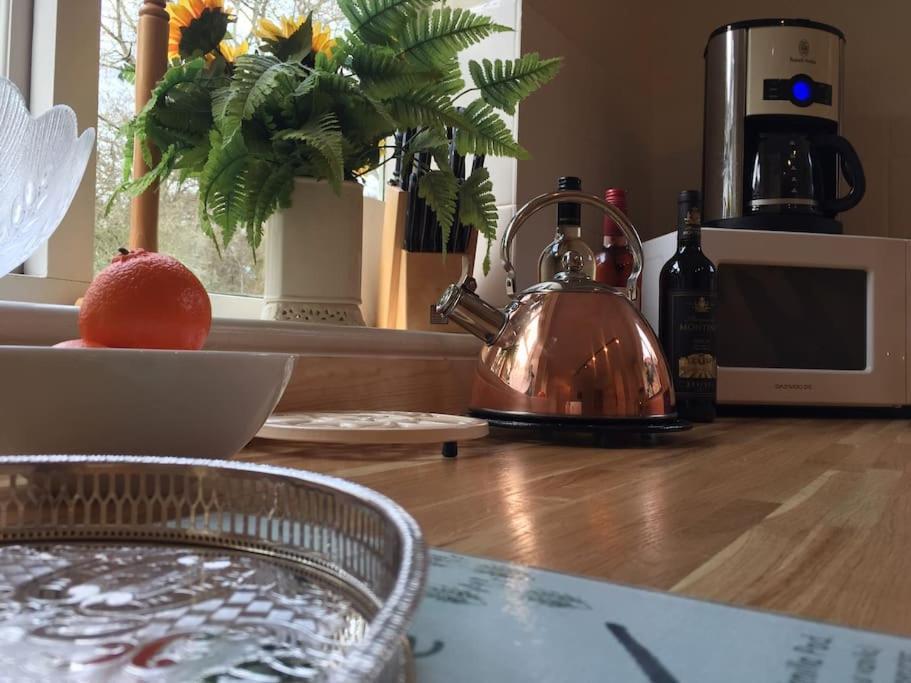 Forestry Cottage. Hot Tub, Open Fire, Dog Friendly Gaywood Buitenkant foto